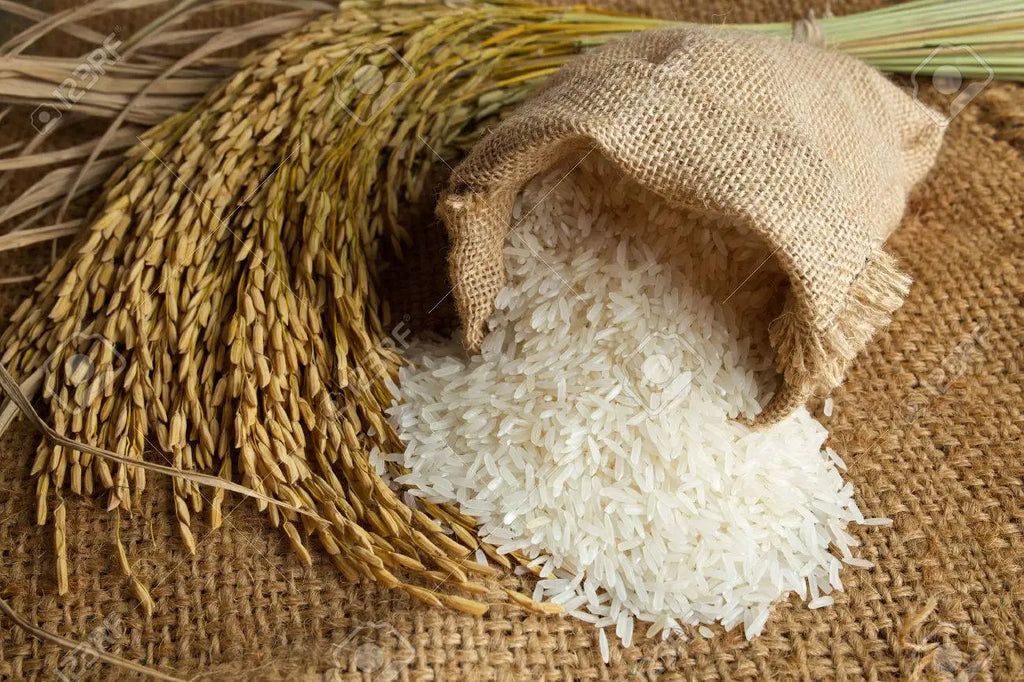 Rice : Buy Kerala Matta Rice, Jaya Rice, Surekha Rice, Raw Rice, Ponni Rice Online | Bigtrolley Groceries