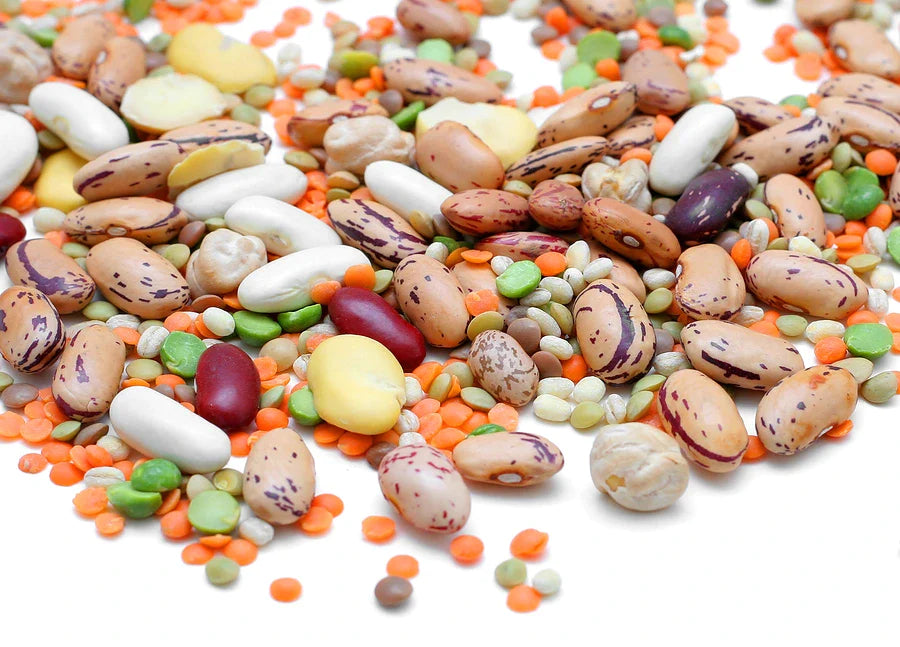 Beans & Lentils : Mung, Kidney Beans, Chickpeas, Urid dal, Toor Dal | BigTrolley