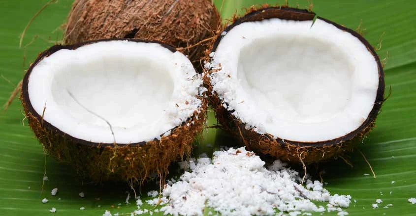 Frozen Coconut : Shop Grated Coconut, Sliced Coconut | BigTrolley